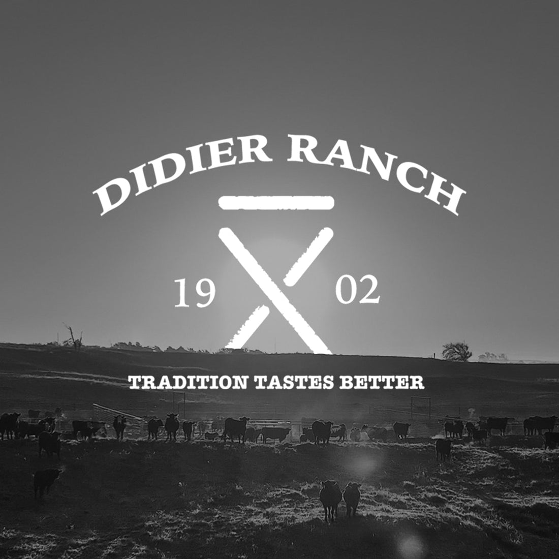 Didier Ranch: Beef Boxes Straight From Our Okla