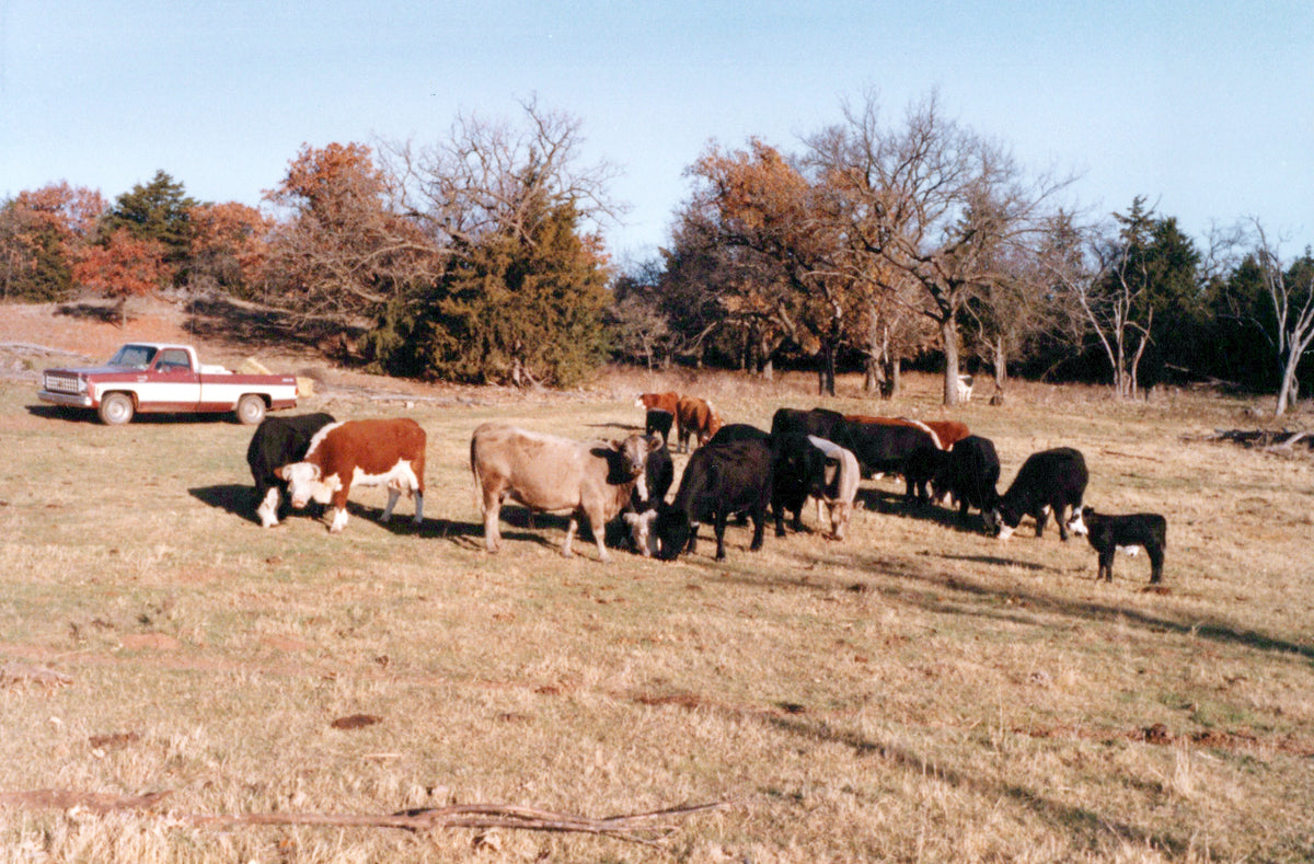 Didier Ranch History